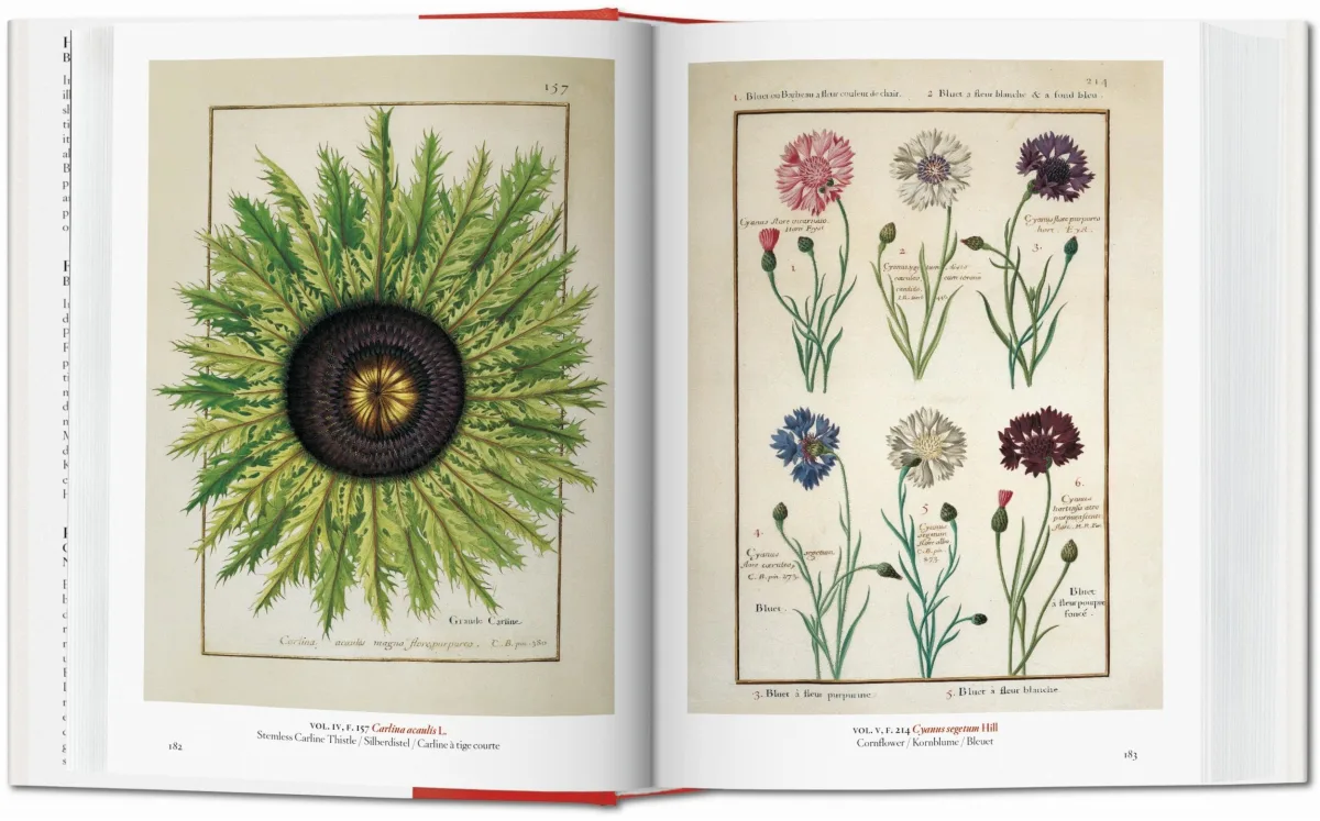 TASCHEN A Garden Eden. Masterpieces of Botanical Illustration. 40th Ed Im Verkauf