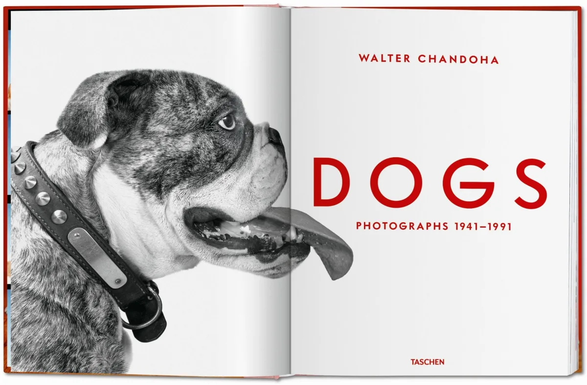 TASCHEN Walter Chandoha. Dogs. Photographs 1941–1991 Günstig kaufen