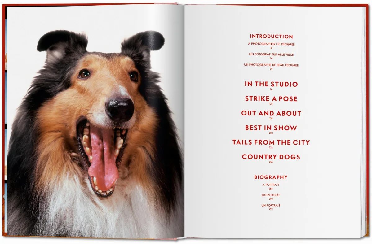 TASCHEN Walter Chandoha. Dogs. Photographs 1941–1991 Günstig kaufen