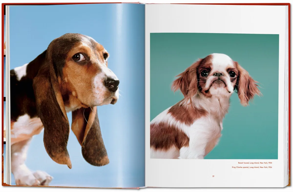 TASCHEN Walter Chandoha. Dogs. Photographs 1941–1991 Günstig kaufen