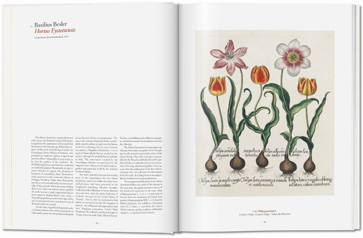 TASCHEN A Garden Eden. Masterpieces of Botanical Illustration Versandkostenfrei