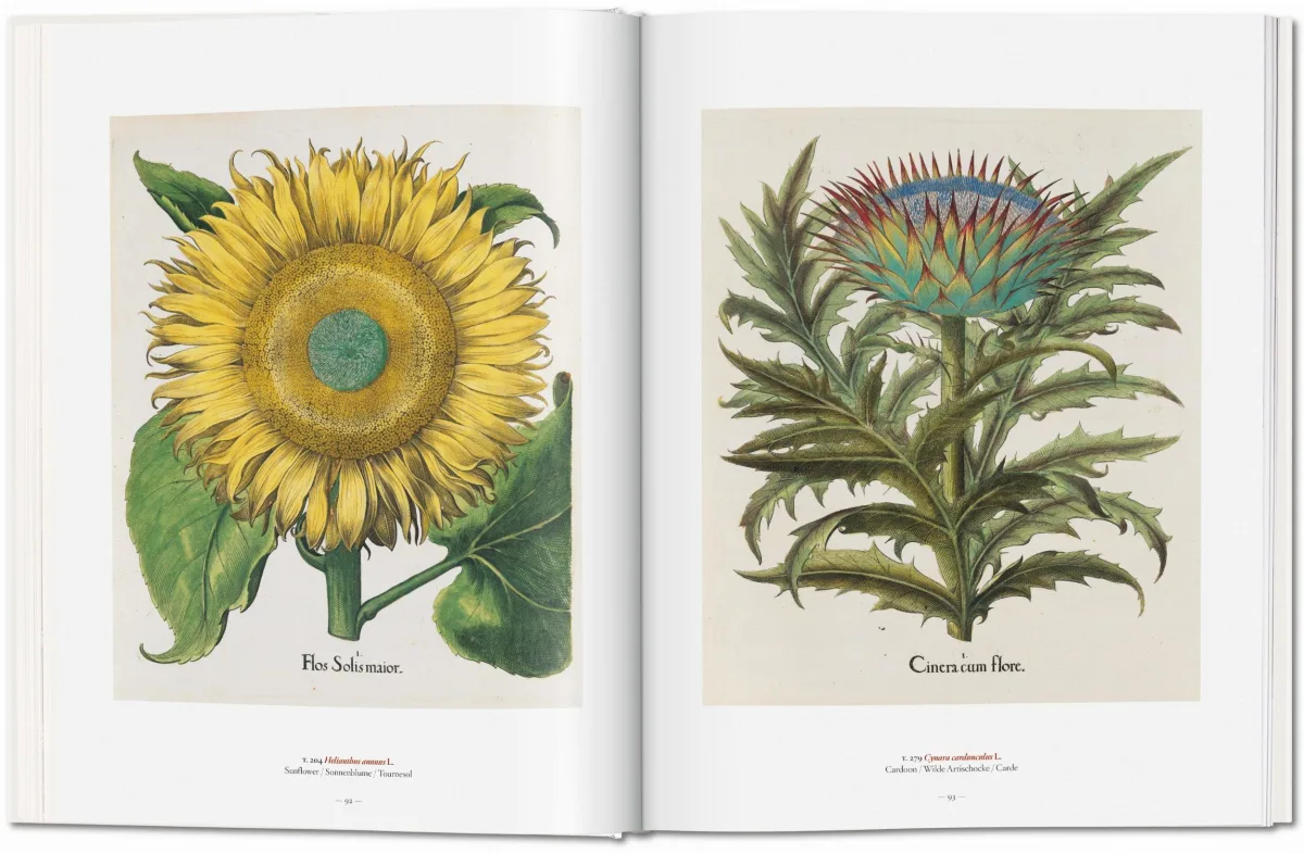 TASCHEN A Garden Eden. Masterpieces of Botanical Illustration Versandkostenfrei