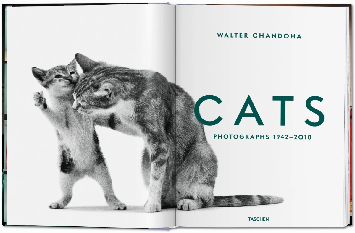 TASCHEN Walter Chandoha. Cats. Photographs 1942–2018 Preisnachlass