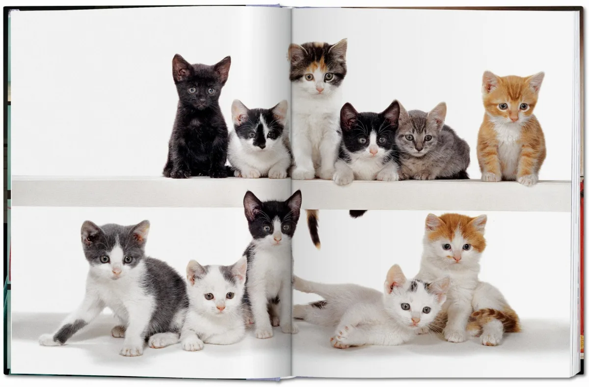 TASCHEN Walter Chandoha. Cats. Photographs 1942–2018 Preisnachlass