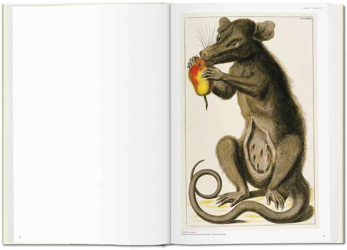 TASCHEN Seba. Cabinet of Natural Curiosities Lagerräumung