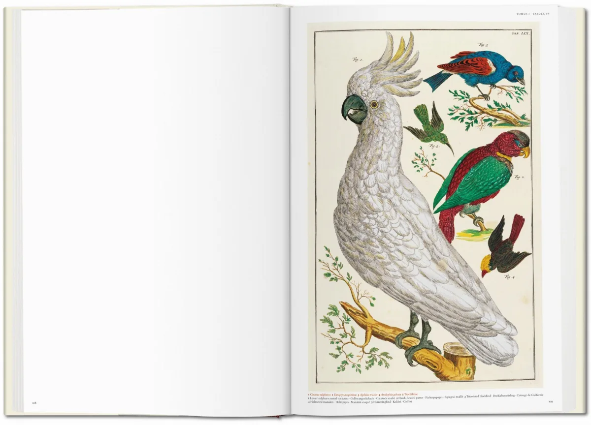 TASCHEN Seba. Cabinet of Natural Curiosities Lagerräumung