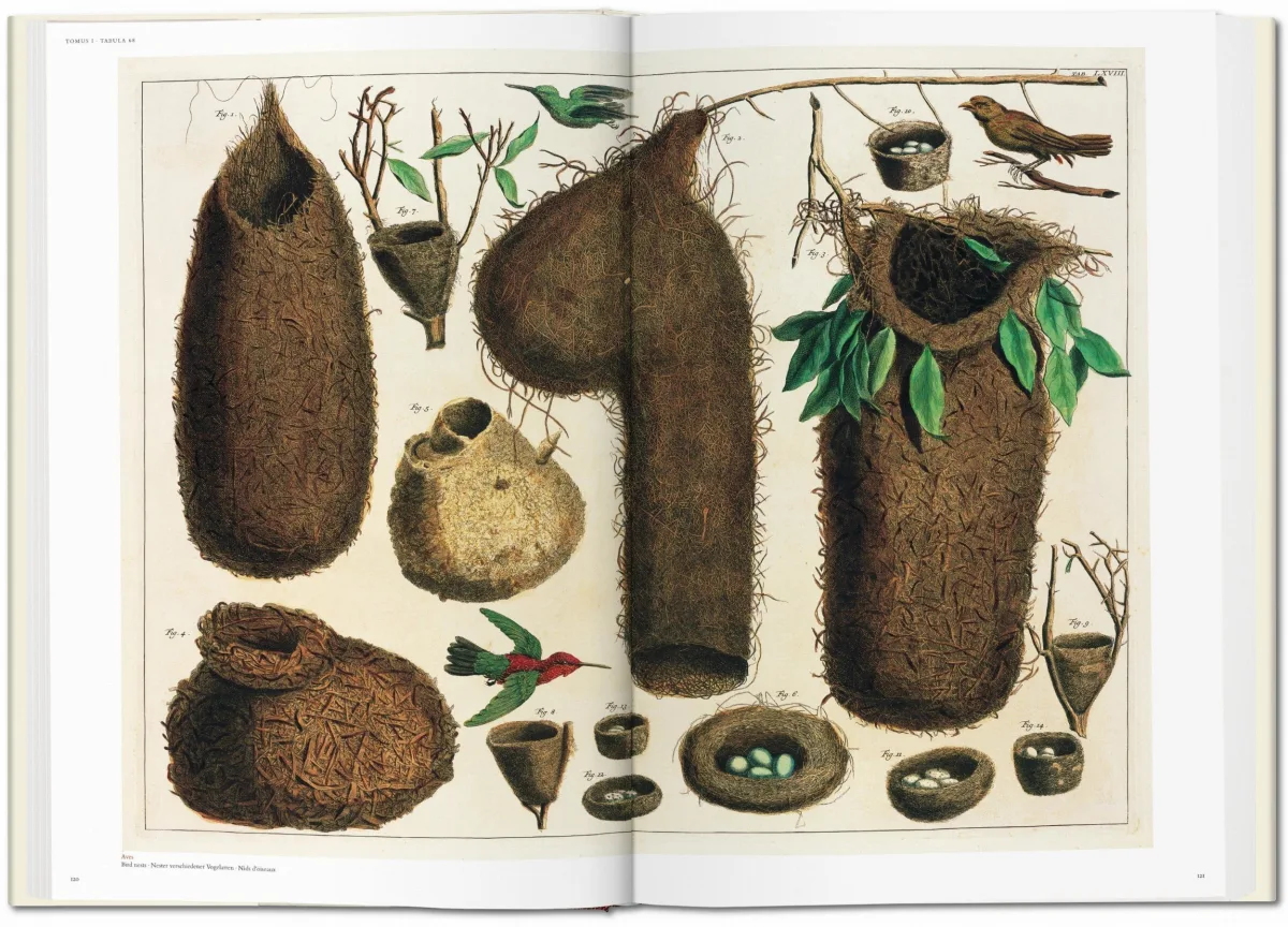 TASCHEN Seba. Cabinet of Natural Curiosities Lagerräumung
