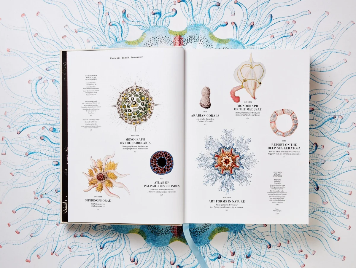 TASCHEN The Art and Science of Ernst Haeckel Exklusive Angebote