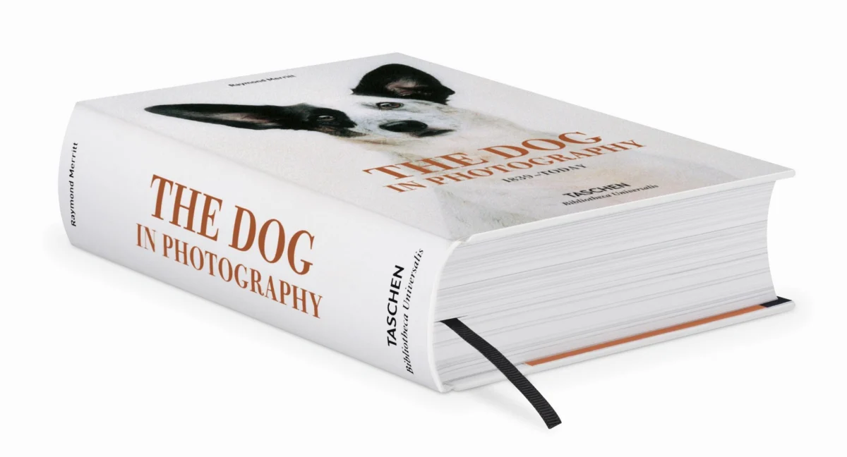 TASCHEN The Dog in Photography 1839–Today Neueste Mode