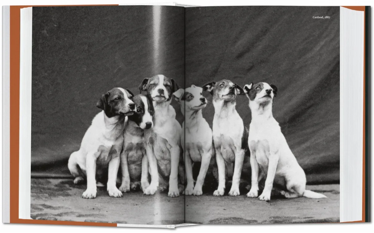 TASCHEN The Dog in Photography 1839–Today Neueste Mode