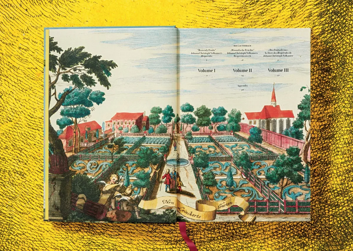 TASCHEN J. C. Volkamer. The Book of Citrus Fruits Exklusive Angebote