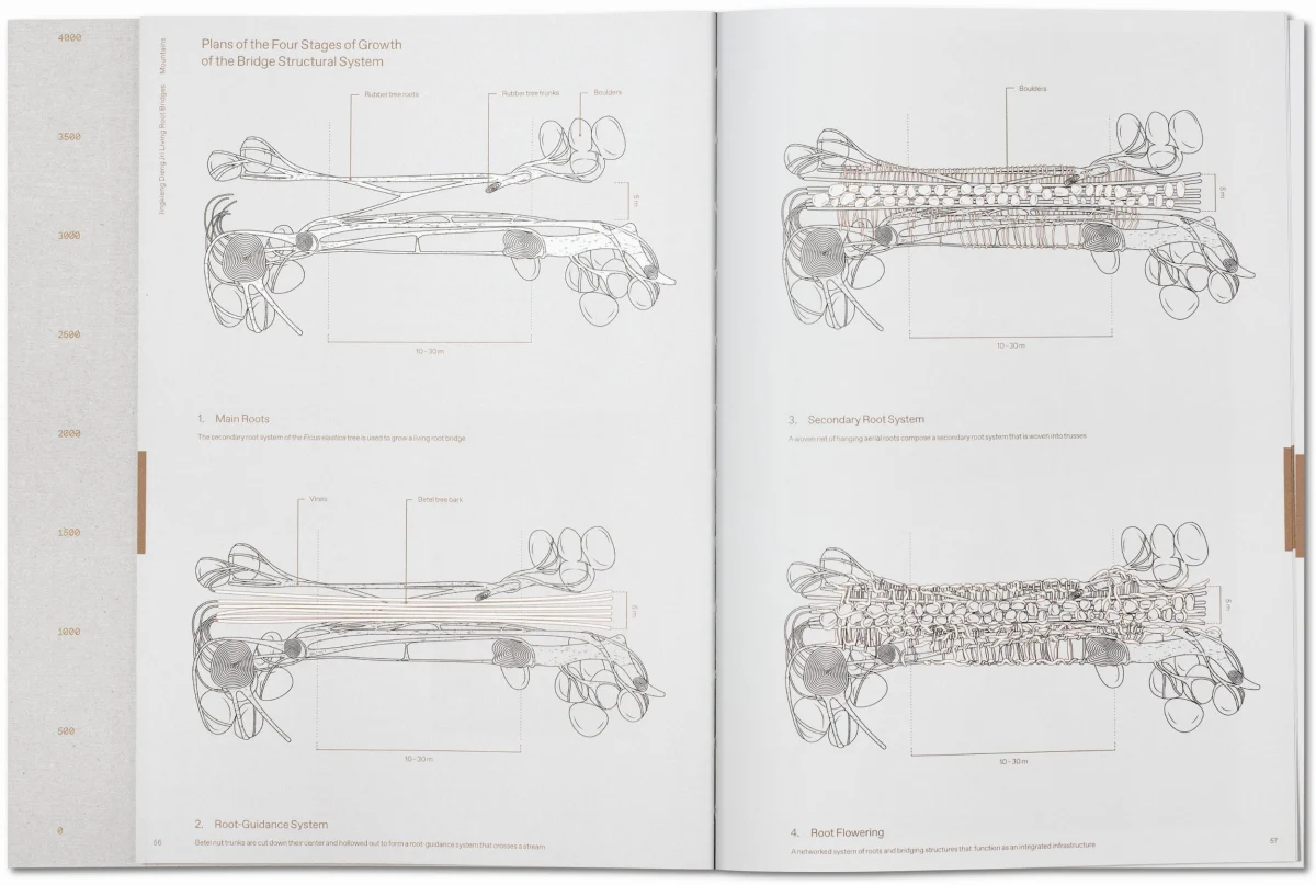 TASCHEN Julia Watson. Lo—TEK. Design by Radical Indigenism Bestseller
