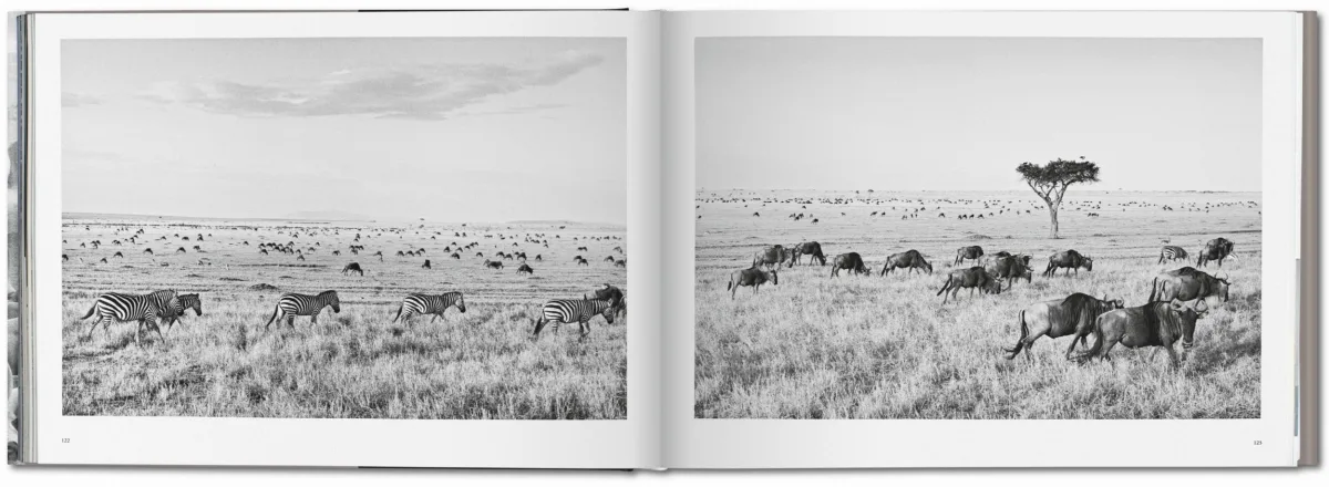 TASCHEN Sebastião Salgado. Africa Saisonale Angebote