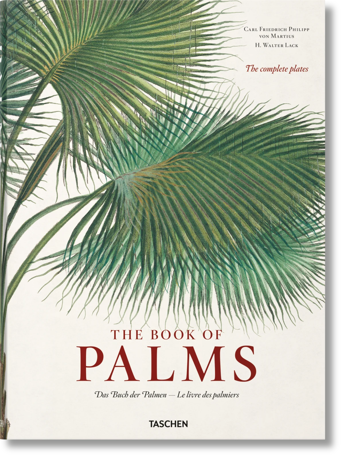 TASCHEN Martius. The Book of Palms
