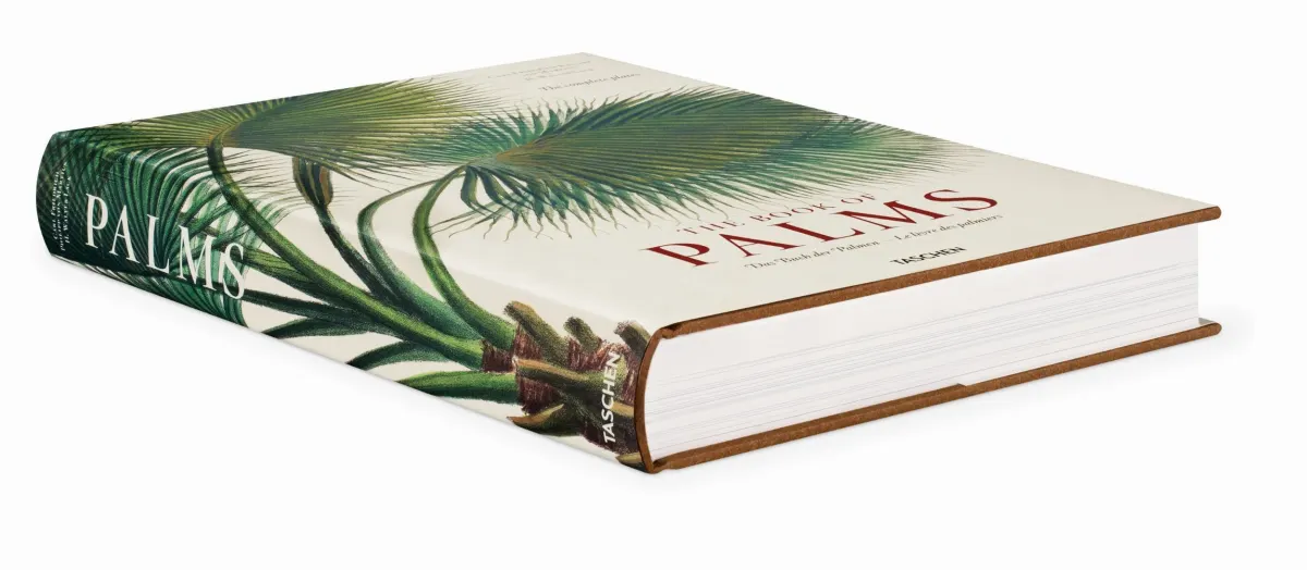 TASCHEN Martius. The Book of Palms Riesige Ersparnisse