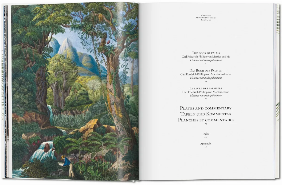 TASCHEN Martius. The Book of Palms Riesige Ersparnisse