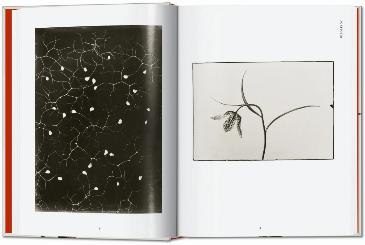 TASCHEN Karl Blossfeldt. The Complete Published Work. 40th Ed Fabrikpreis