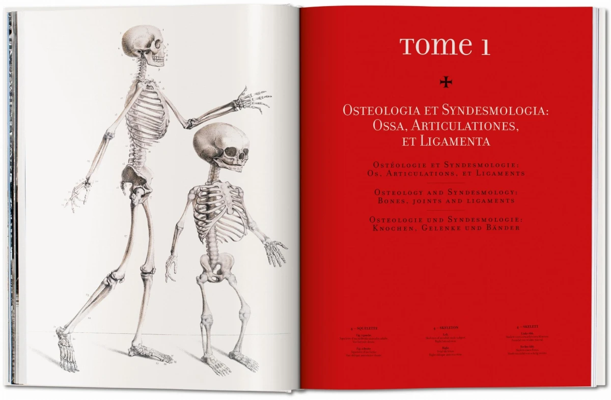 TASCHEN Bourgery. Atlas of Human Anatomy and Surgery Vatertagsangebot