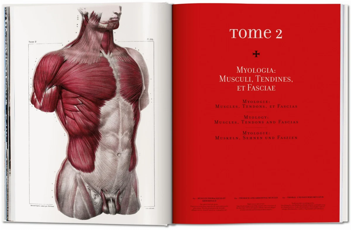 TASCHEN Bourgery. Atlas of Human Anatomy and Surgery Vatertagsangebot