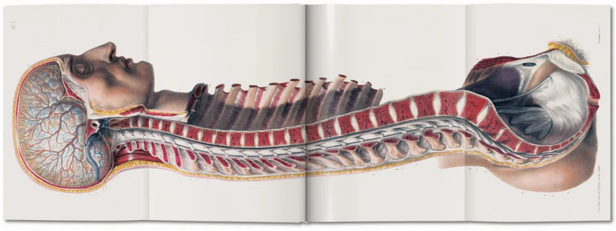 TASCHEN Bourgery. Atlas of Human Anatomy and Surgery Vatertagsangebot
