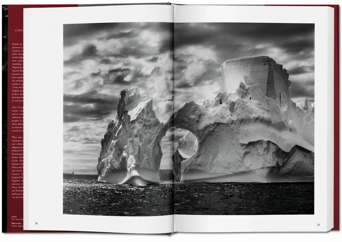 TASCHEN Sebastião Salgado. Genesis 50% Rabatt mit kostenlosem Versand
