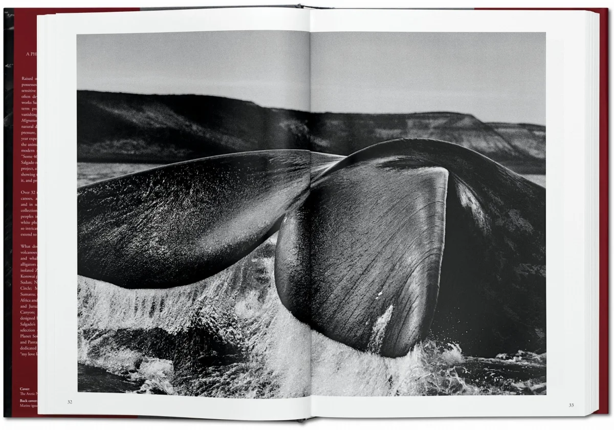 TASCHEN Sebastião Salgado. Genesis 50% Rabatt mit kostenlosem Versand