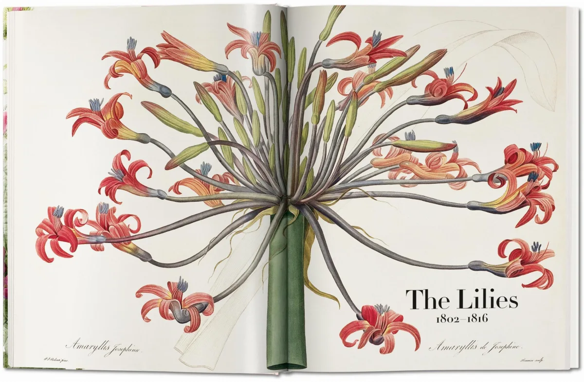 TASCHEN Redouté. The Book of Flowers Kostenloser Versand international