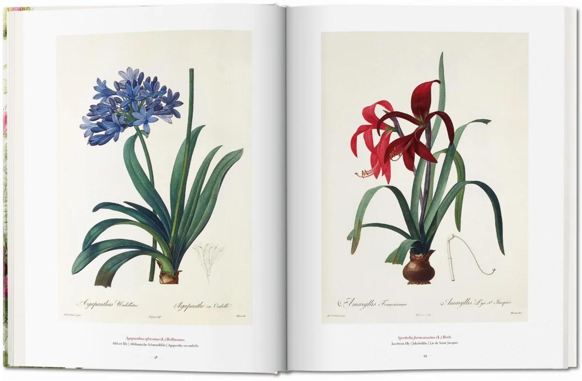 TASCHEN Redouté. The Book of Flowers Kostenloser Versand international