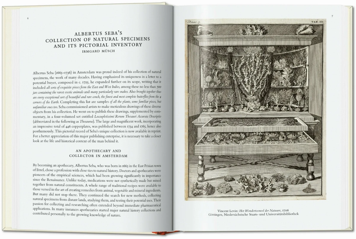 TASCHEN Seba. Cabinet of Natural Curiosities. 40th Ed Outlet