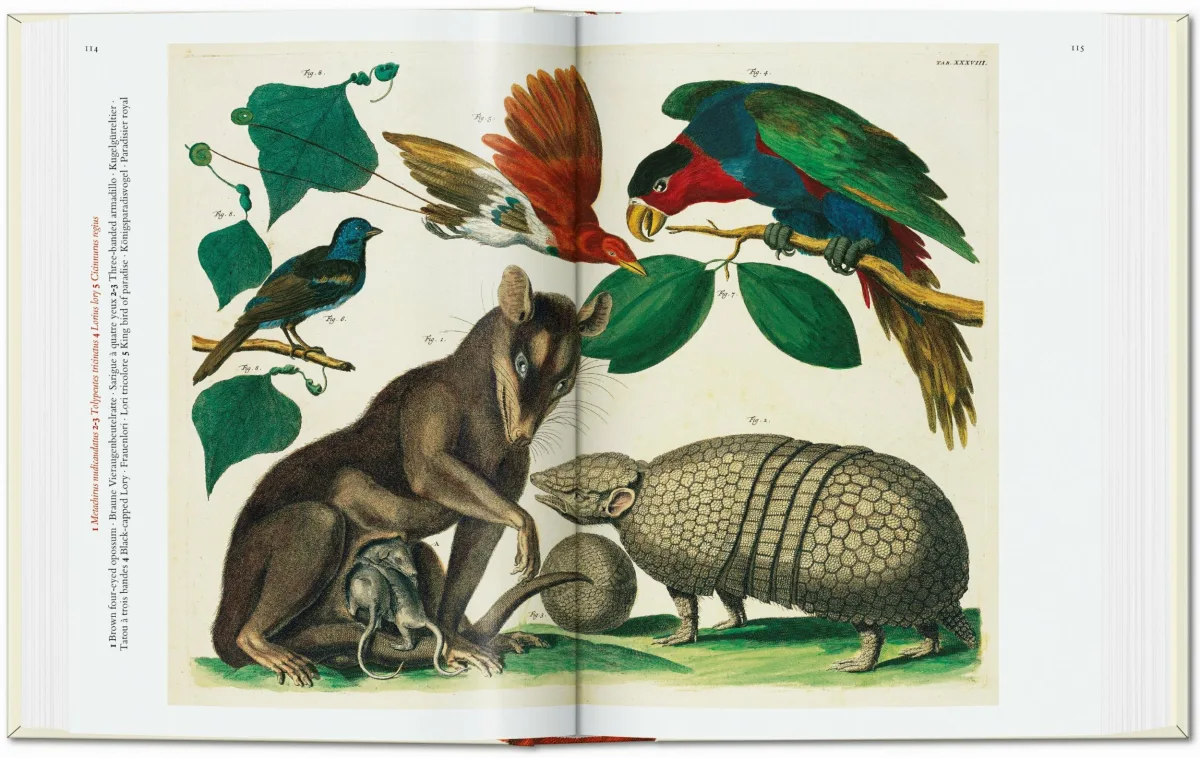 TASCHEN Seba. Cabinet of Natural Curiosities. 40th Ed Outlet