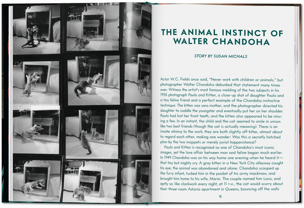 TASCHEN Walter Chandoha. Cats. Photographs 1942–2018 Muttertagsangebot
