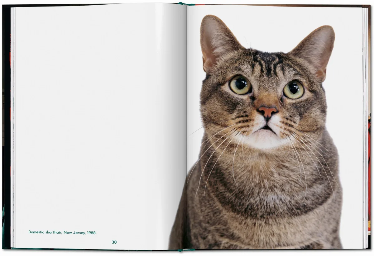 TASCHEN Walter Chandoha. Cats. Photographs 1942–2018 Muttertagsangebot