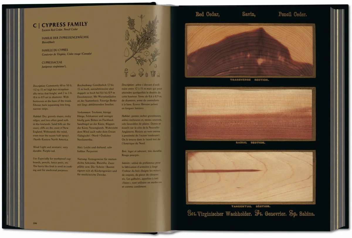 TASCHEN Romeyn B. Hough. The Woodbook. The Complete Plates Riesige Ersparnisse