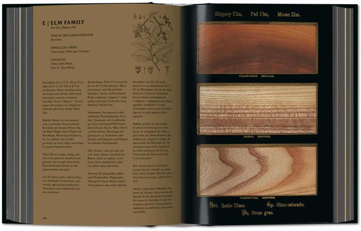 TASCHEN Romeyn B. Hough. The Woodbook. The Complete Plates Riesige Ersparnisse