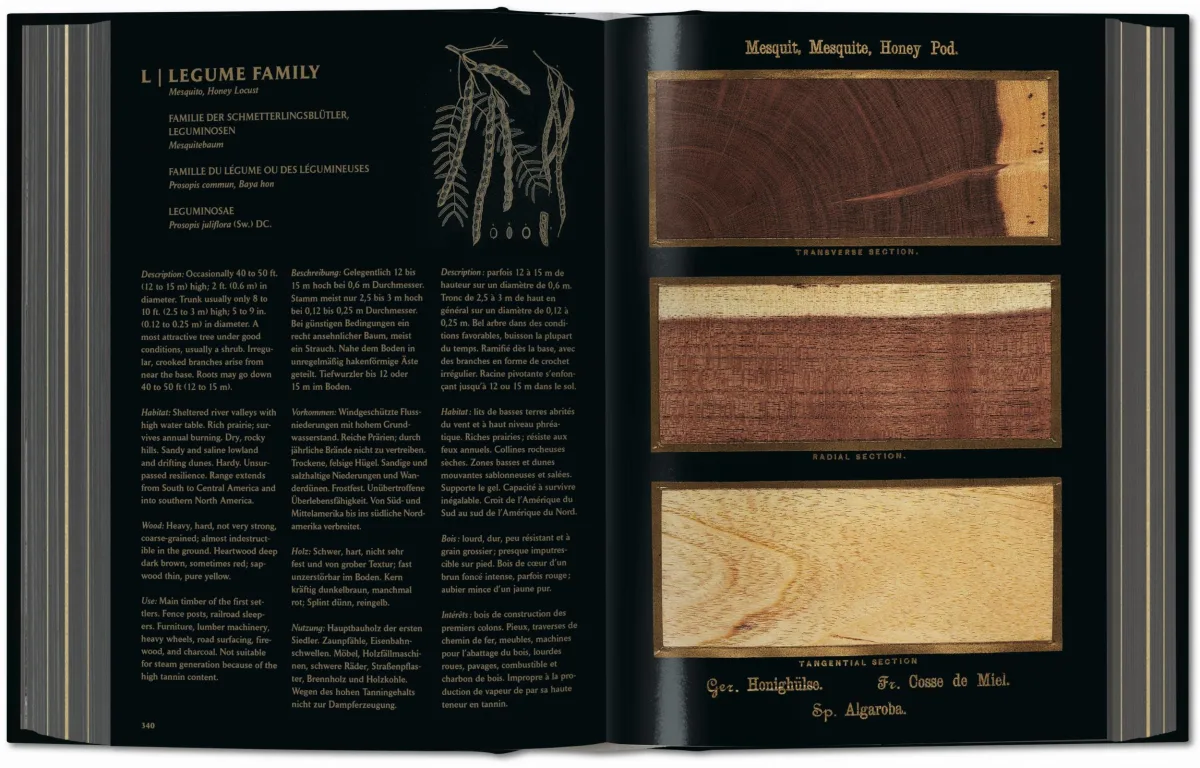 TASCHEN Romeyn B. Hough. The Woodbook. The Complete Plates Riesige Ersparnisse