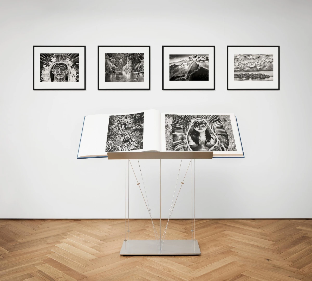 TASCHEN Sebastião Salgado. Amazônia, Art Edition No. 301–400 ‘The Paraná connecting the Rio Negro with the Cuyuní River’ Jubiläumsangebot