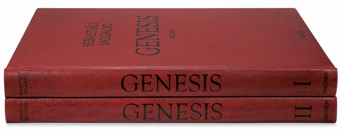 TASCHEN Sebastião Salgado. Genesis. Art Edition No. 201–300 ‘Black-Browed Albatrosses, Falkland Islands’ Top Angebot