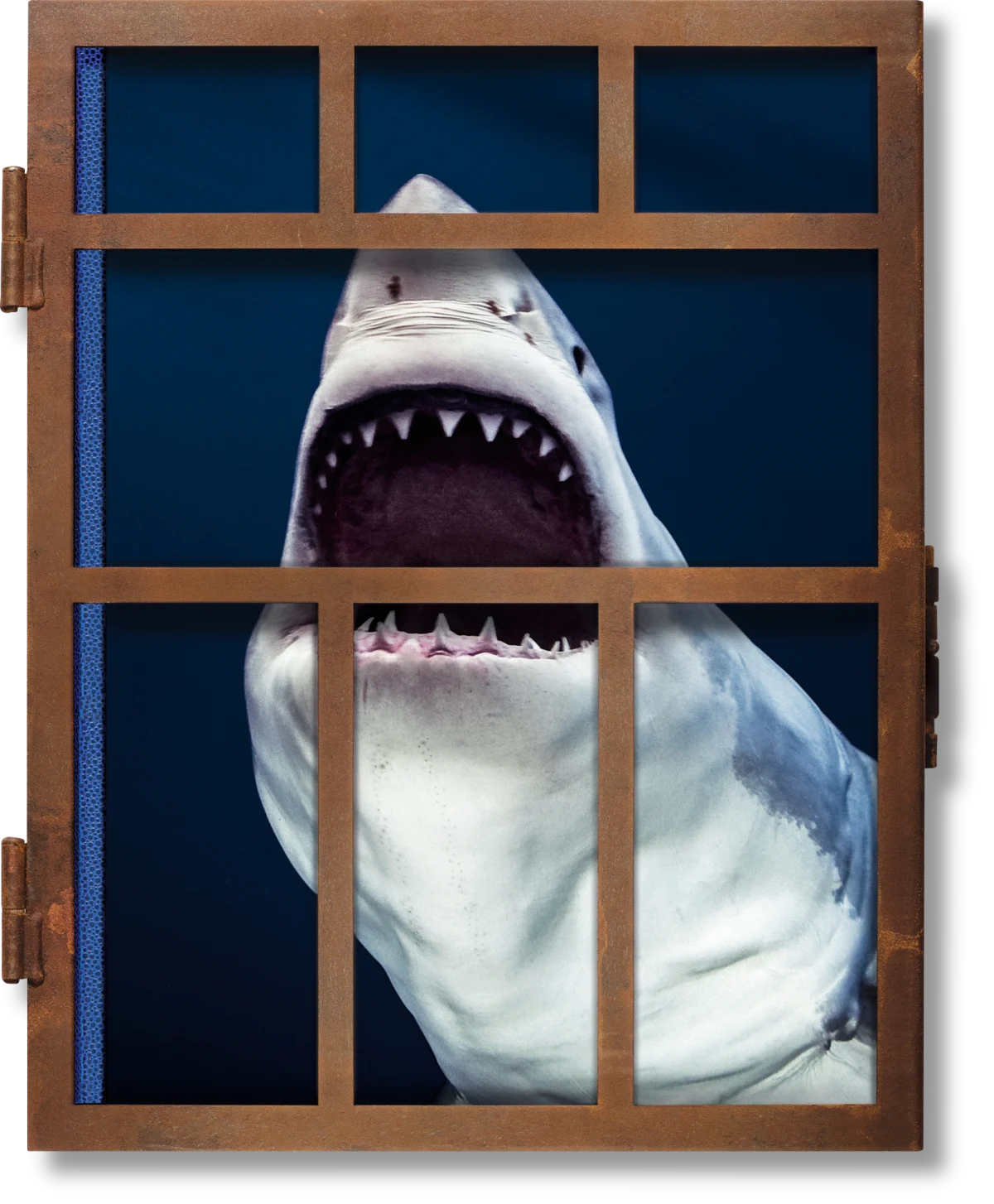 TASCHEN Michael Muller. Sharks