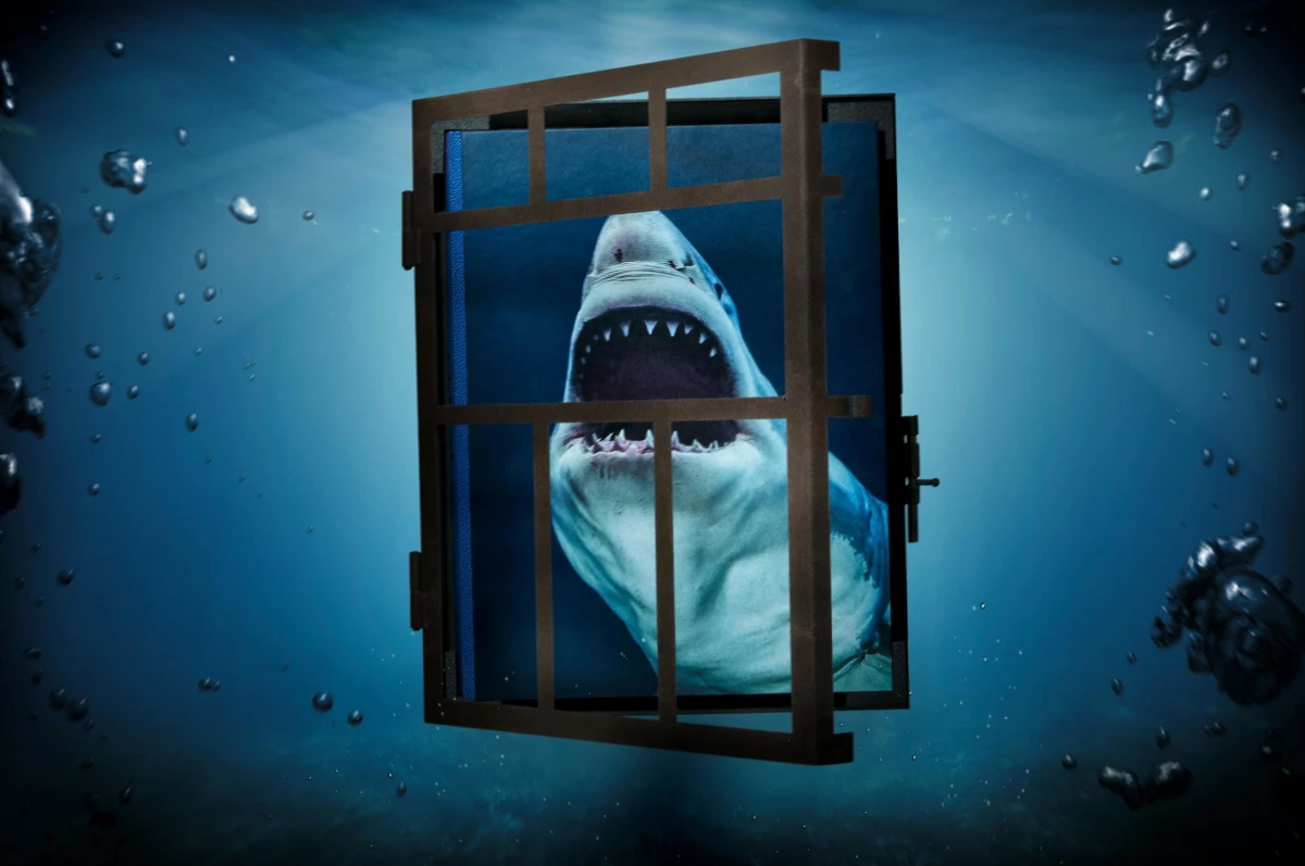 TASCHEN Michael Muller. Sharks Große Rabatte