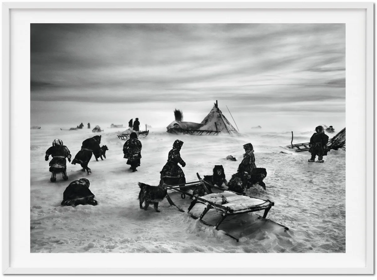 TASCHEN Sebastião Salgado. Genesis. Art Edition No. 101–200 ‘North of the Ob River, Yamal Peninsula, Siberia, Russia’ Sonderangebote