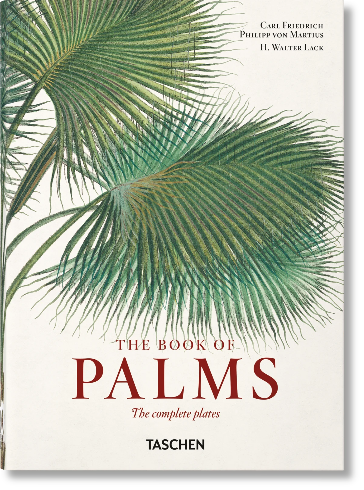 TASCHEN Martius. The Book of Palms. 40th Ed