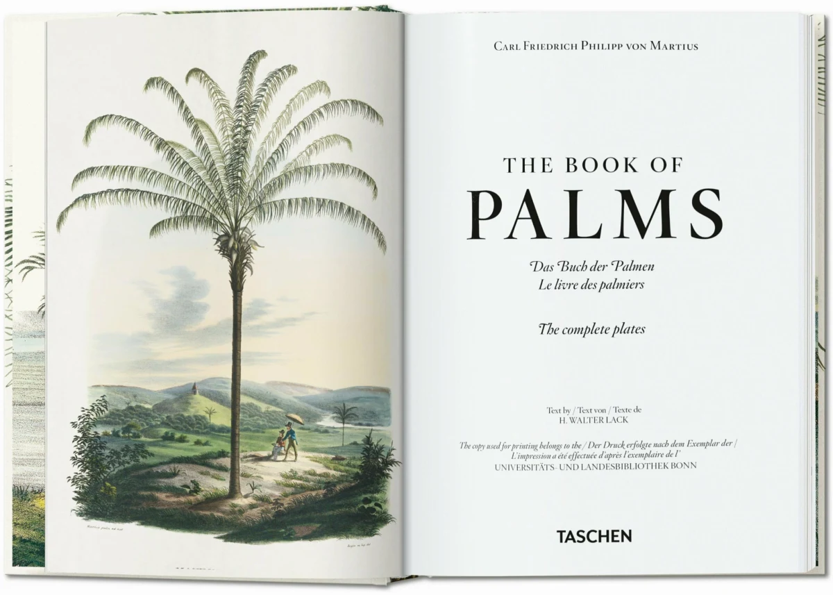 TASCHEN Martius. The Book of Palms. 40th Ed 50% Rabatt für begrenzte Zeit