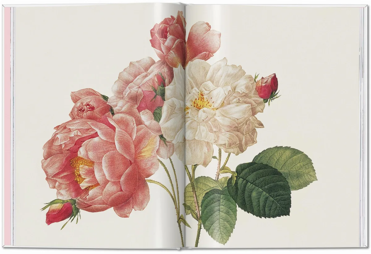 TASCHEN Redouté. Roses Fabrikpreis