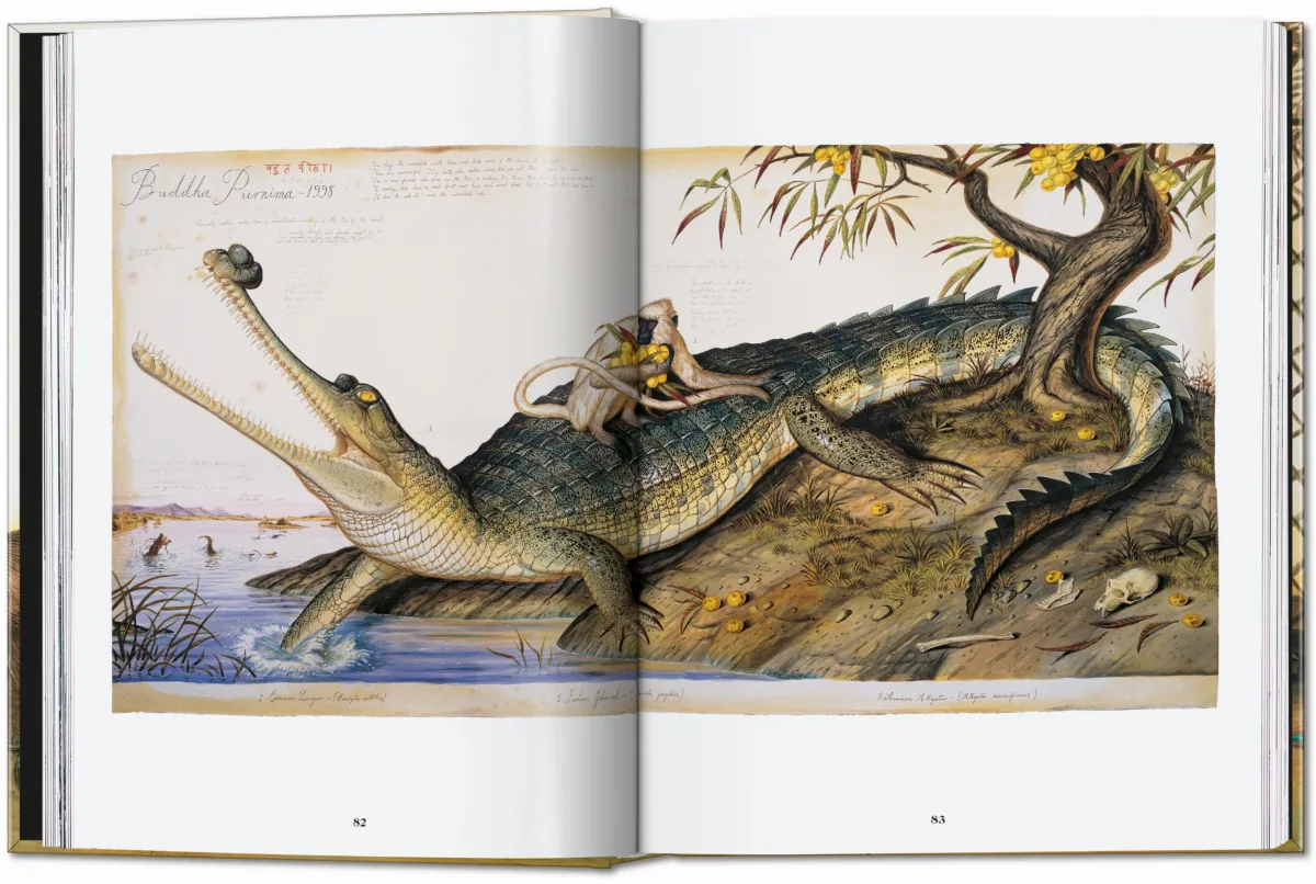 TASCHEN Walton Ford. 40th Ed Black Friday