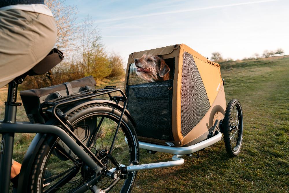 babymarkt Hundefahrradanhänger Dog Tammo Moss green Black Friday