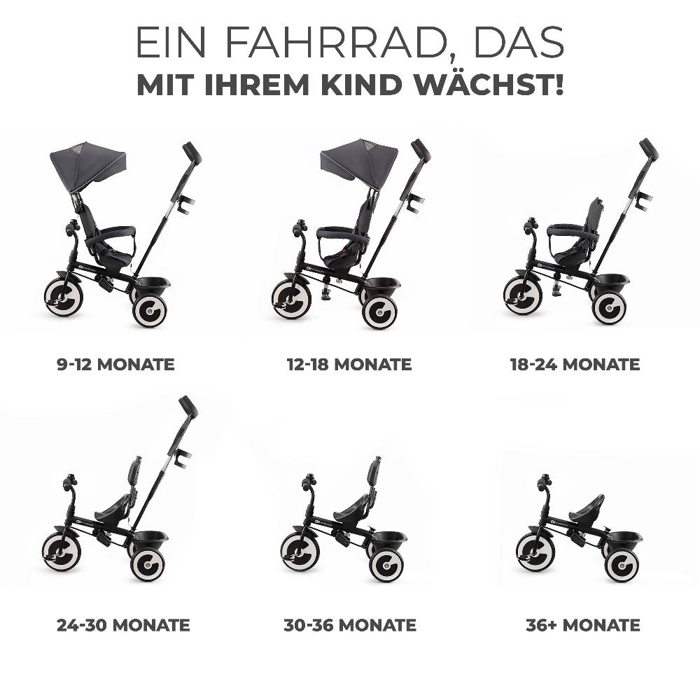 babymarkt Dreirad Aston grau Valentinstagsangebot