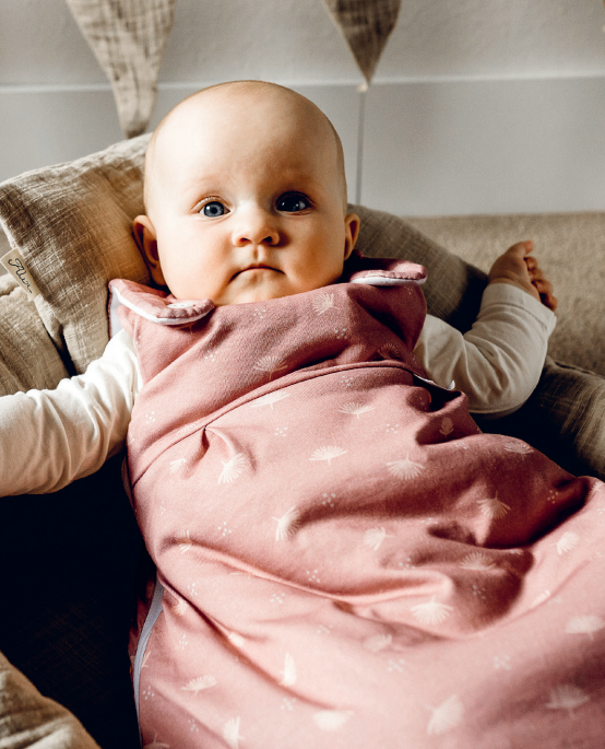 babymarkt Baby-Mäxchen Außensack Pretty Exklusivangebot