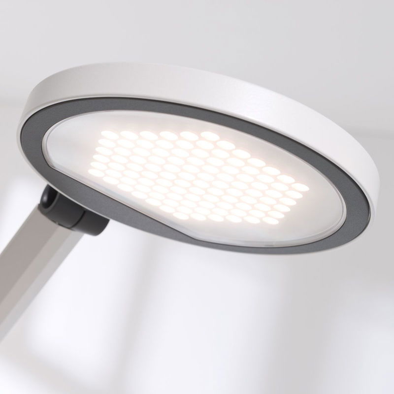 babyonlineshop Paidi Schreibtischleuchte Para.Mi LED-Leuchte mit stufenloser Dimmfunktion Saisonale Angebote